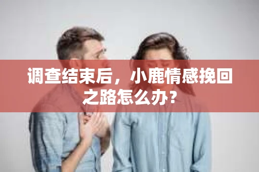 调查结束后，小鹿情感挽回之路怎么办？