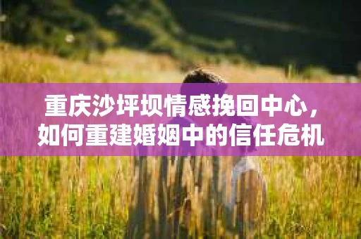 重庆沙坪坝情感挽回中心，如何重建婚姻中的信任危机？