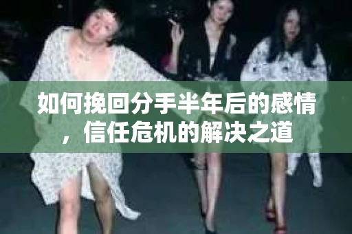 如何挽回分手半年后的感情，信任危机的解决之道