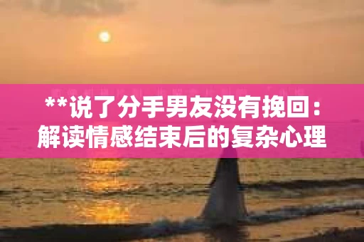 **说了分手男友没有挽回：解读情感结束后的复杂心理与现实**