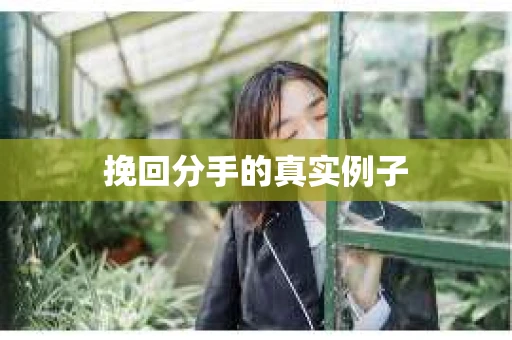 挽回分手的真实例子