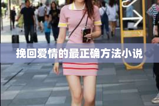 挽回爱情的最正确方法小说