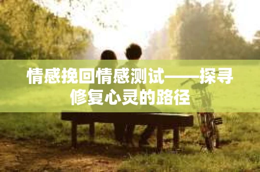 情感挽回情感测试——探寻修复心灵的路径