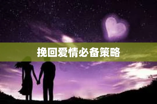 挽回爱情必备策略