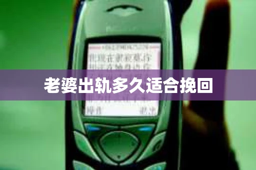 老婆出轨多久适合挽回