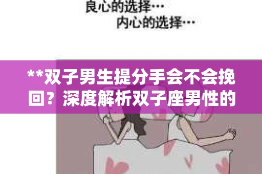 **双子男生提分手会不会挽回？深度解析双子座男性的情感决策**