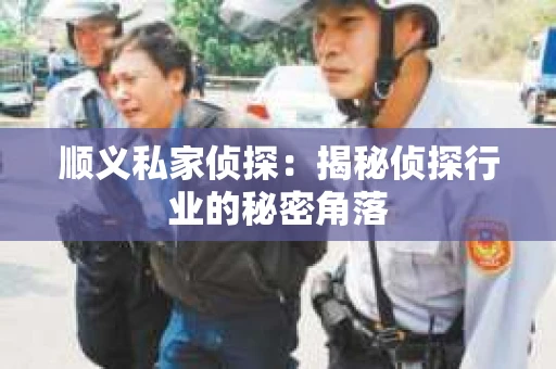 顺义私家侦探：揭秘侦探行业的秘密角落
