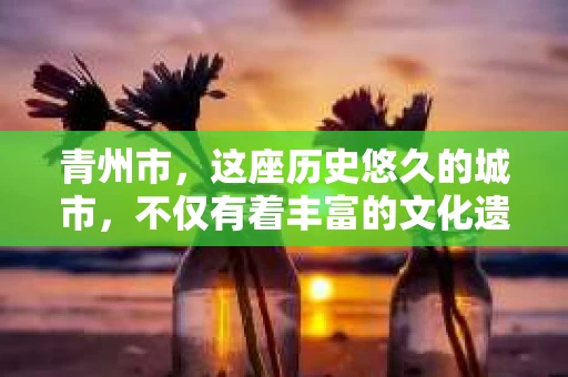 青州市，这座历史悠久的城市，不仅有着丰富的文化遗产，也有着现代生活的便捷。那么，问题来了——青州市有私家侦探公司吗？这个问题，对于需要侦探服务的人来说，无疑至关重要。接下来，我就来为大家揭开这个谜底。