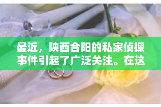 最近，陕西合阳的私家侦探事件引起了广泛关注。在这个信息爆炸的时代，隐私保护显得尤为重要。今天，我们就来聊聊这个事件，看看它背后的一些故事。