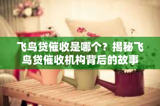飞鸟贷催收是哪个？揭秘飞鸟贷催收机构背后的故事