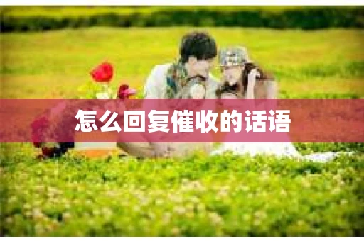 怎么回复催收的话语