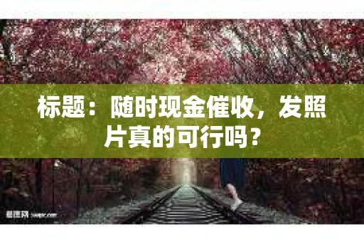 标题：随时现金催收，发照片真的可行吗？