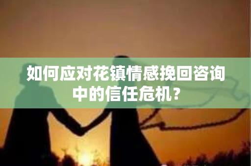 如何应对花镇情感挽回咨询中的信任危机？