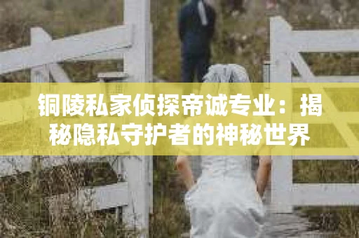铜陵私家侦探帝诚专业：揭秘隐私守护者的神秘世界
