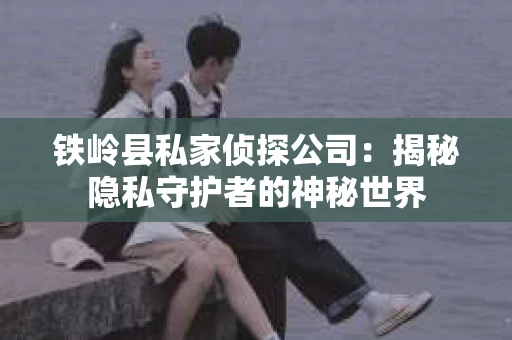 铁岭县私家侦探公司：揭秘隐私守护者的神秘世界