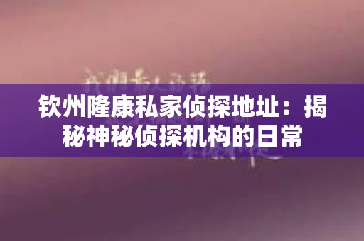 钦州隆康私家侦探地址：揭秘神秘侦探机构的日常