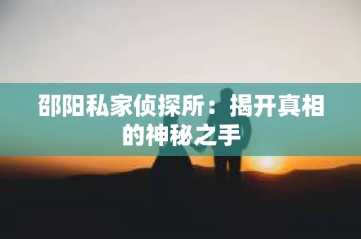 邵阳私家侦探所：揭开真相的神秘之手