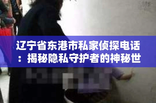 辽宁省东港市私家侦探电话：揭秘隐私守护者的神秘世界