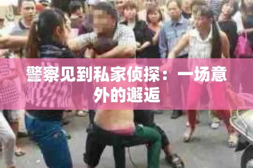 警察见到私家侦探：一场意外的邂逅
