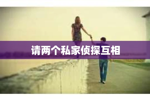 请两个私家侦探互相