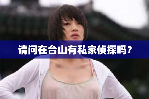 请问在台山有私家侦探吗？