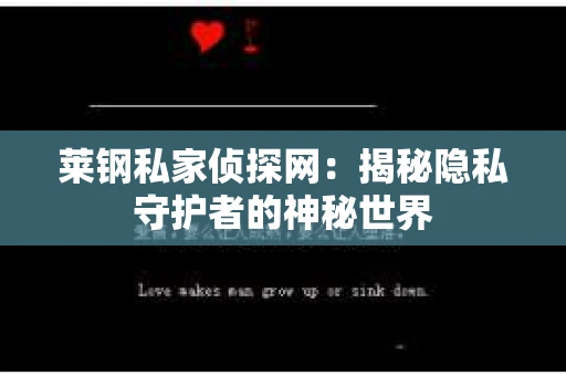 莱钢私家侦探网：揭秘隐私守护者的神秘世界