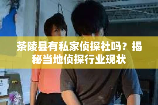 茶陵县有私家侦探社吗？揭秘当地侦探行业现状