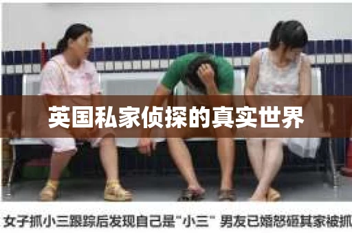 英国私家侦探的真实世界