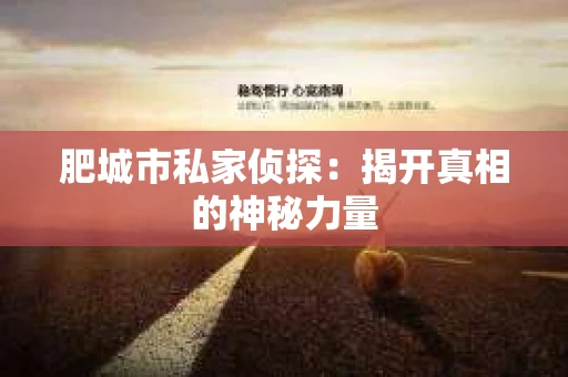 肥城市私家侦探：揭开真相的神秘力量