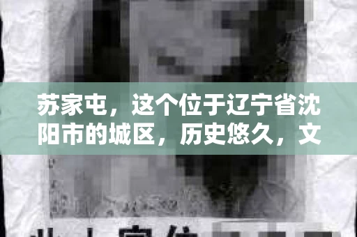苏家屯，这个位于辽宁省沈阳市的城区，历史悠久，文化底蕴深厚。近年来，随着社会的发展，人们对于私家侦探的需求也逐渐增加。那么，苏家屯有私家侦探吗？今天，我们就来聊聊这个话题。