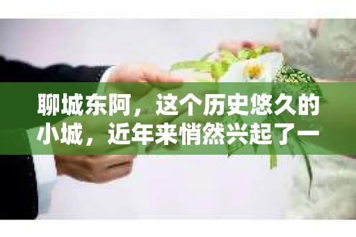 聊城东阿，这个历史悠久的小城，近年来悄然兴起了一股新的服务潮流——私家侦探。今天，我们就来聊聊这个话题，看看在聊城东阿，私家侦探是如何成为人们生活中的一部分的。