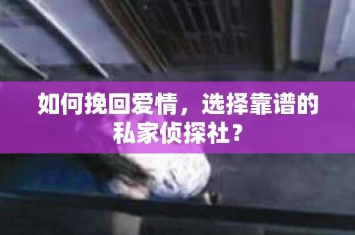如何挽回爱情，选择靠谱的私家侦探社？