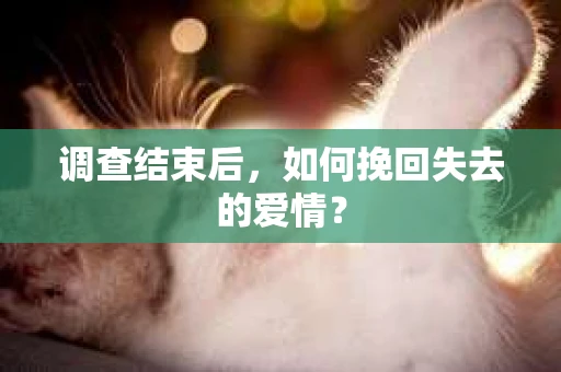 调查结束后，如何挽回失去的爱情？