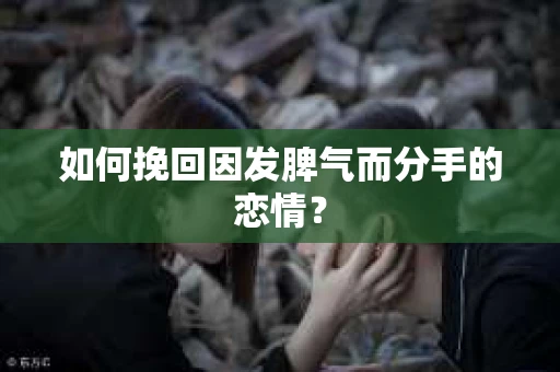 如何挽回因发脾气而分手的恋情? 如何挽回因发脾气而分手的恋情?