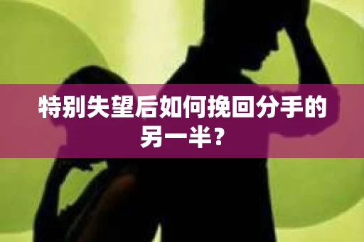 特别失望后如何挽回分手的另一半? 特别失望后如何挽回分手的另一半?
