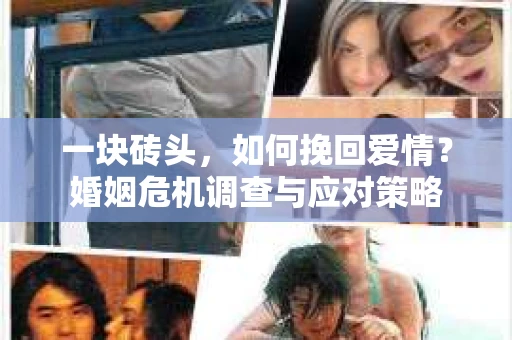 一块砖头，如何挽回爱情？婚姻危机调查与应对策略