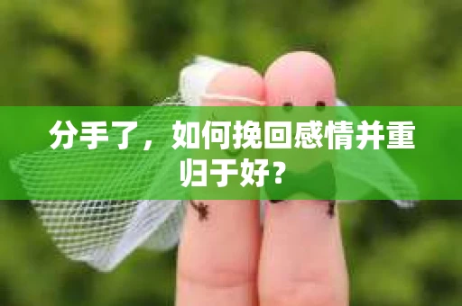 分手了,如何挽回感情并重归于好? 分手了,如何挽回感情并重归于好?