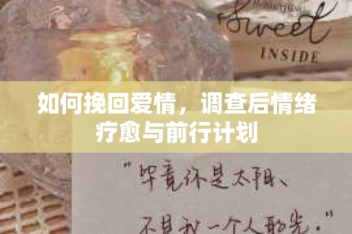 如何挽回爱情，调查后情绪疗愈与前行计划