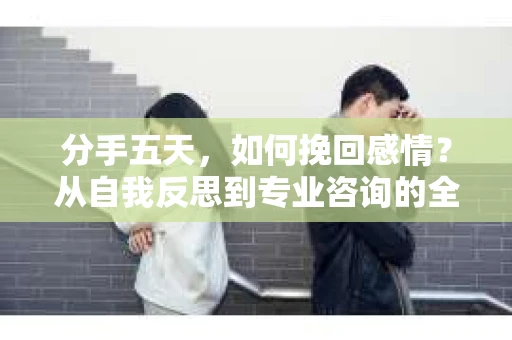 分手五天，如何挽回感情？从自我反思到专业咨询的全面解决方案