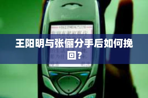 王阳明与张俪分手后如何挽回？