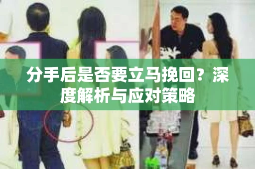分手后是否要立马挽回？深度解析与应对策略