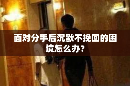 面对分手后沉默不挽回的困境怎么办？