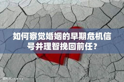 如何察觉婚姻的早期危机信号并理智挽回前任？