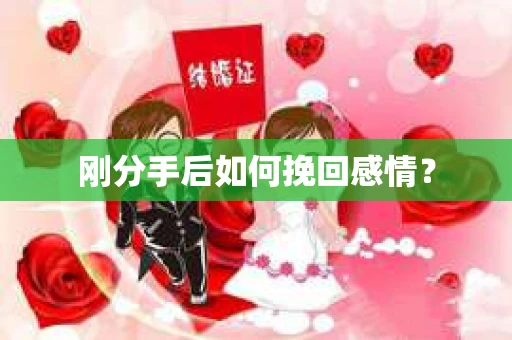 刚分手后如何挽回感情？
